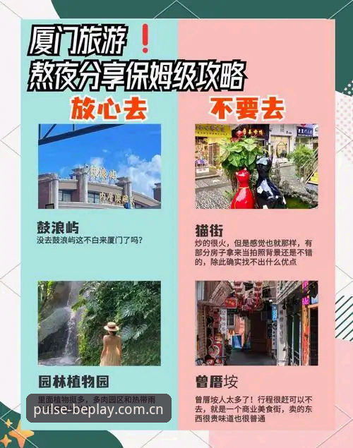 资深用户分享：玩转世界脉动APP下载教程的避坑指南与实战心得